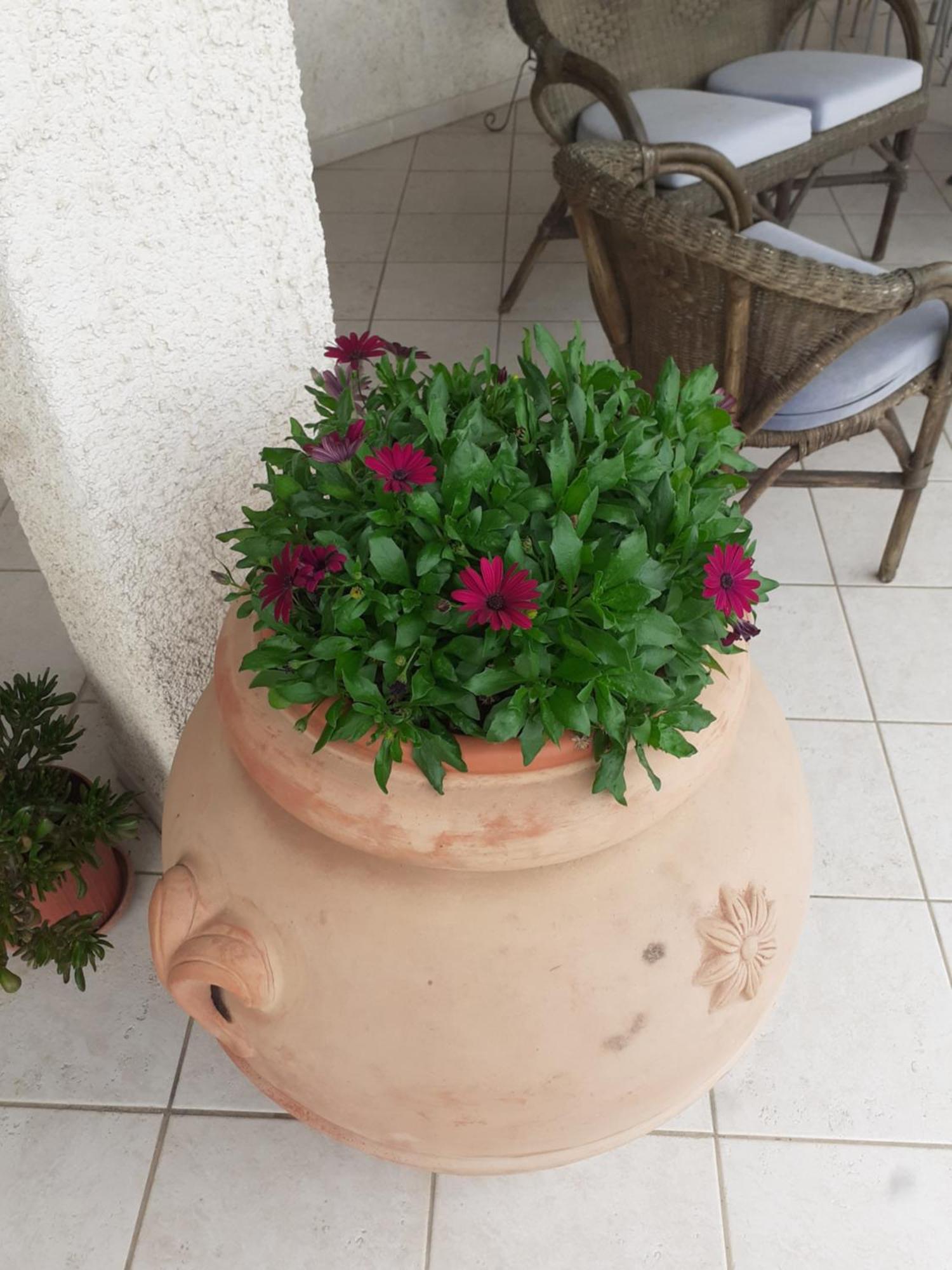 Hotel B&B Rispescia Grosseto Exterior foto