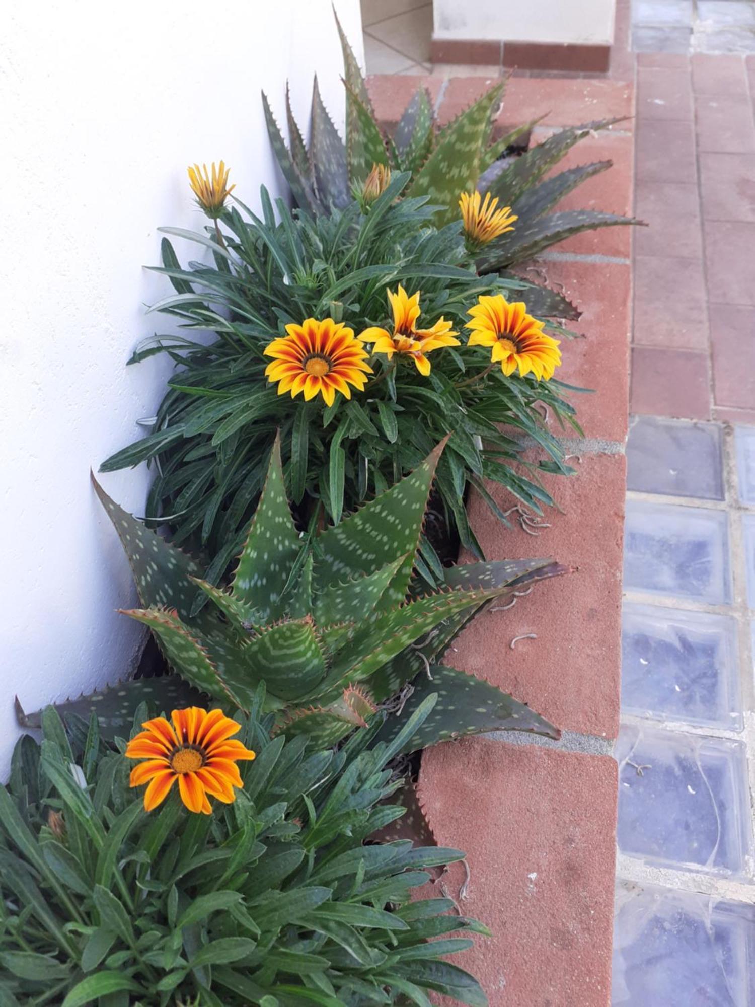 Hotel B&B Rispescia Grosseto Exterior foto