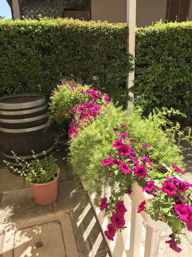 Hotel B&B Rispescia Grosseto Exterior foto