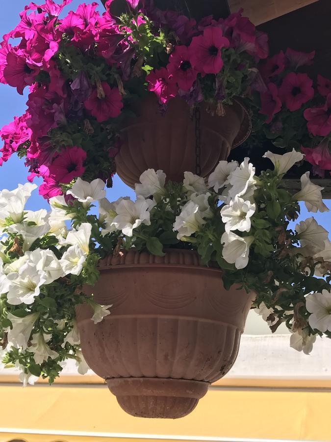 Hotel B&B Rispescia Grosseto Exterior foto